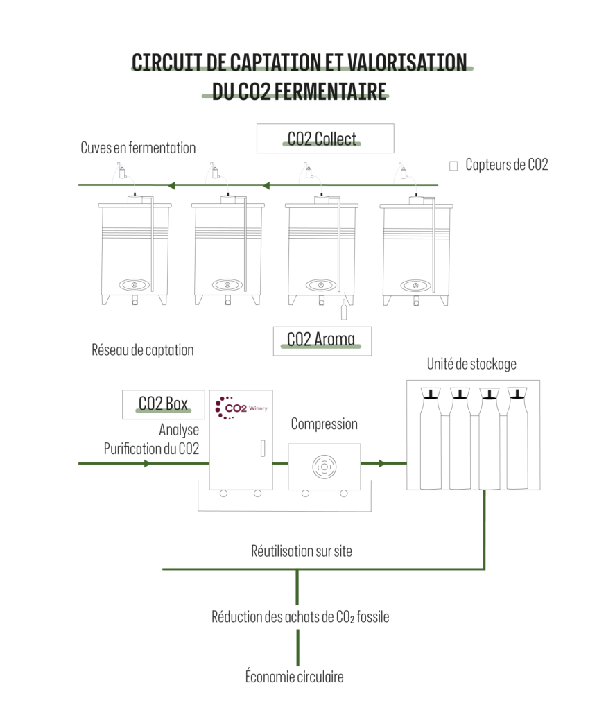 Schéma démarche de valorisation