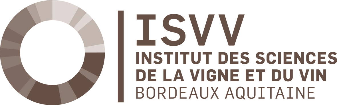 Logo ISVV