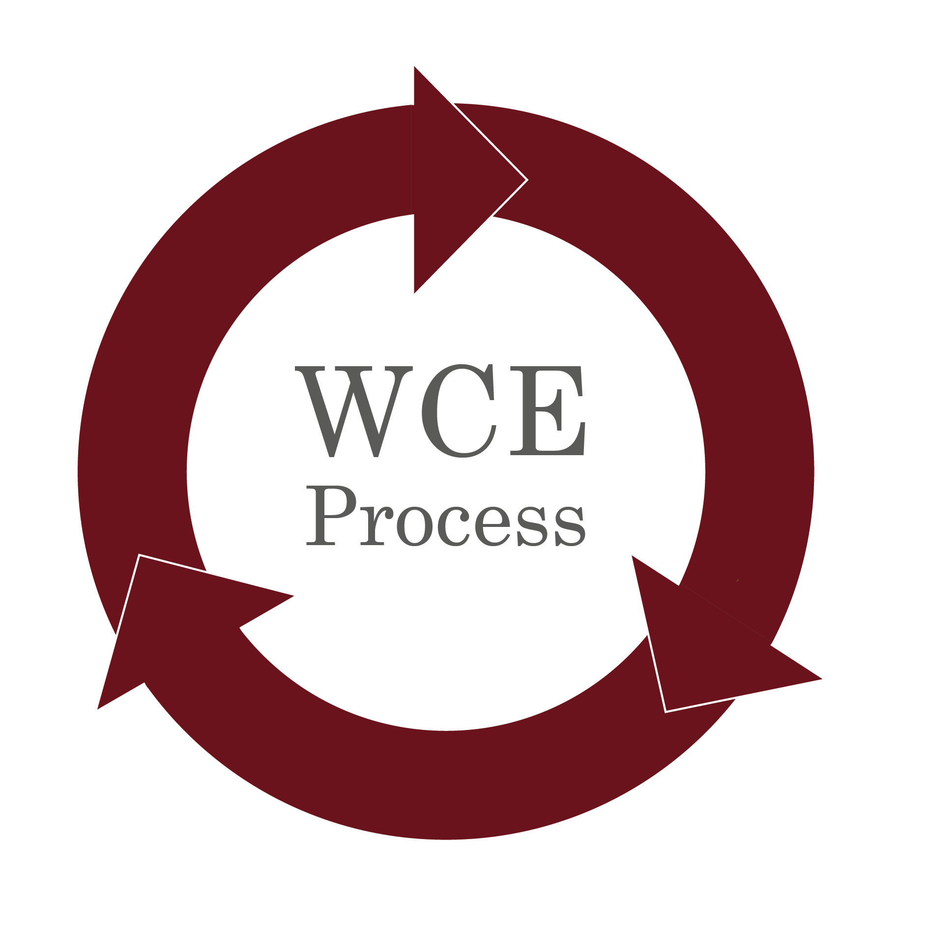 WCE Process Logo