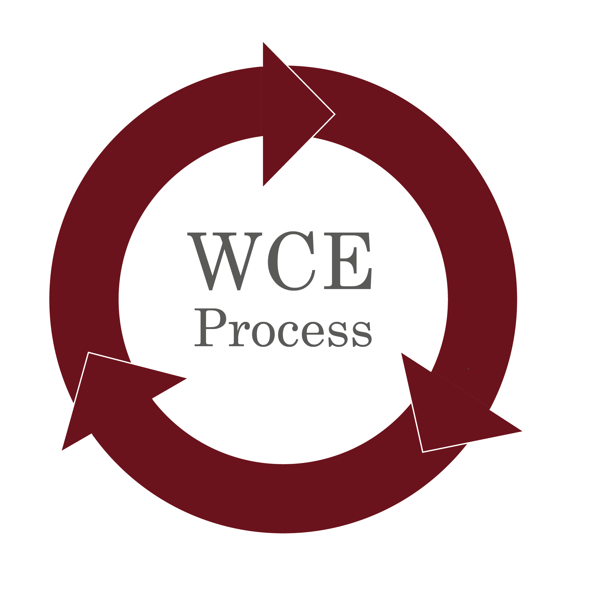 WCE Process